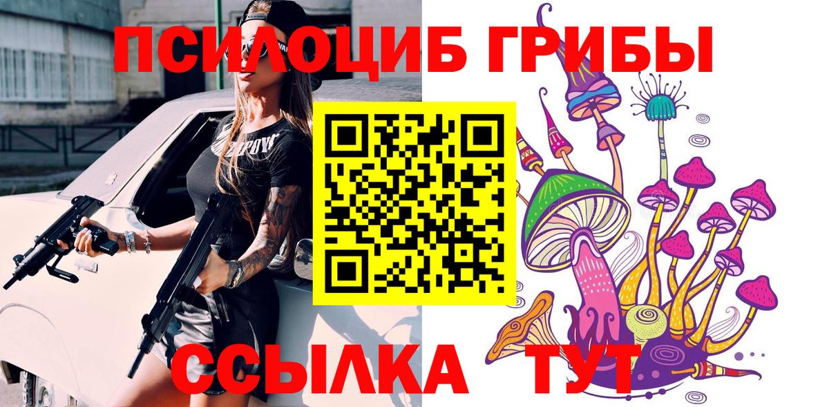 ГАШ Ливны
