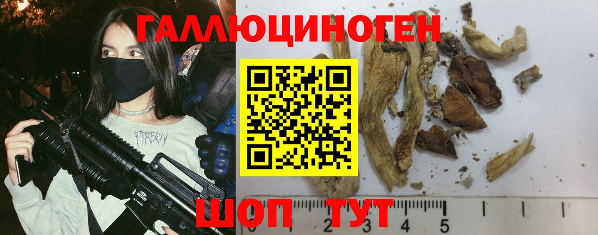 Галлюциногенные грибы мицелий Ливны